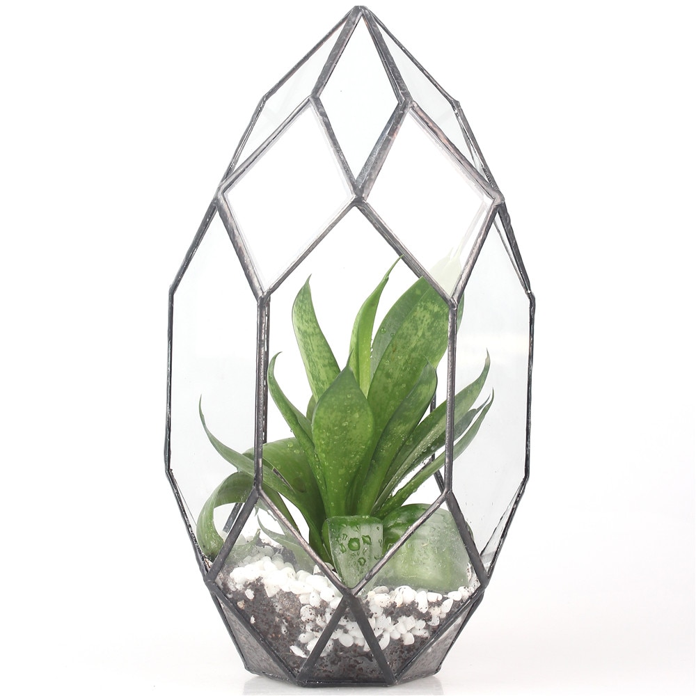 De cristal moderno de pote de flor grande Irregular poliédrico terrario geométrico de cristal linterna suculentas maceta para plantas 11 pulgadas de altura