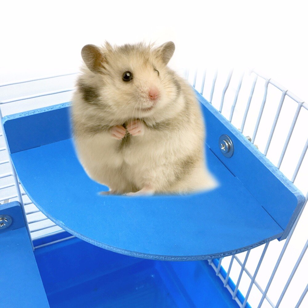Hamster Fan shape Platform Perch Pet Parrot Stand Rack Toys Rat Squirrel Springboard Cage Accessories for Small Animal C42