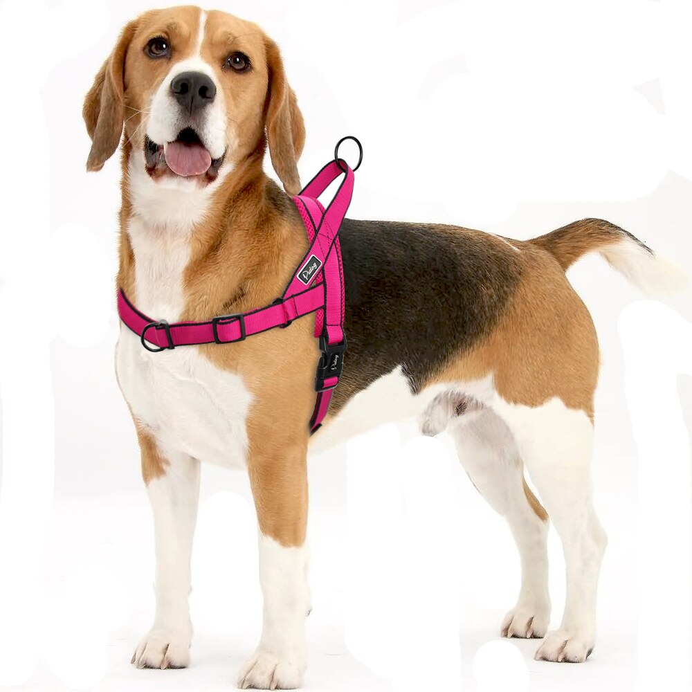 No Pull Dog Harness Adjustable Breathable Step In Walking Pet Mesh Harnesses for Medium Large Dogs Pitbulls Rose Red Black