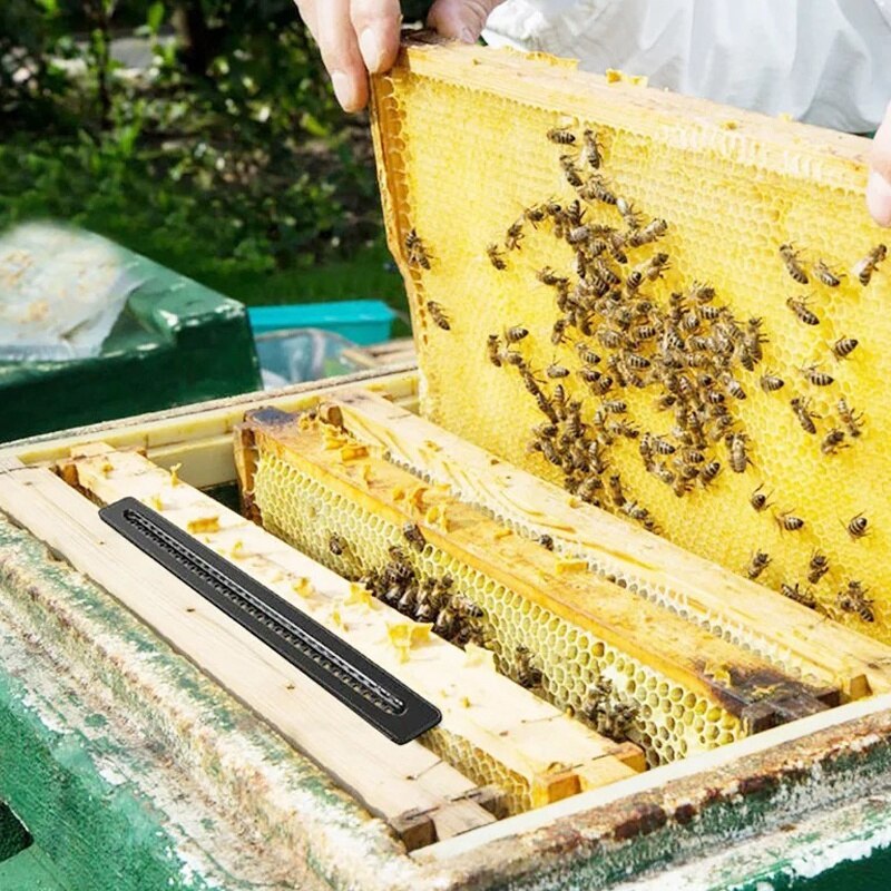 12 Pack - Beetle Blaster Traps for Naturally Catching Small Hive Beetles Bee Hives Without the Use Of Any Chemicals or Pesticide