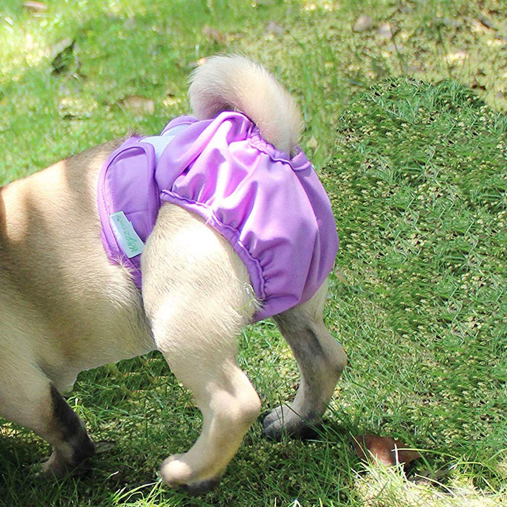 Couches pour chiens mâles et femelles, sous-vêtements menstruels, culottes de contraction réutilisables, culottes hygiéniques pour petits et grands chiens