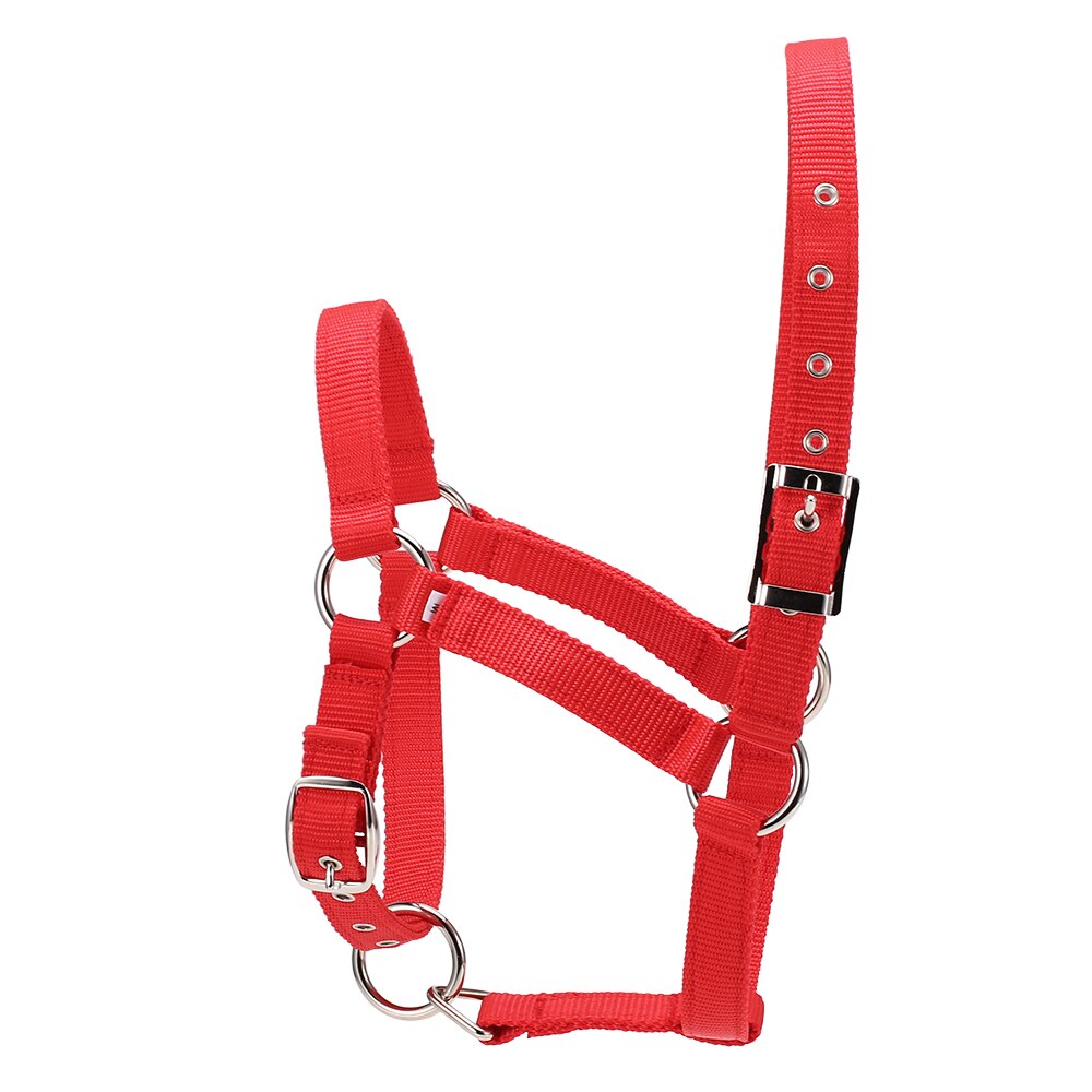 Collar de cabeza de caballo grueso de 6MM, brida ajustable de seguridad, accesorios de equipo de equitación, cuerda de caballo de plomo
