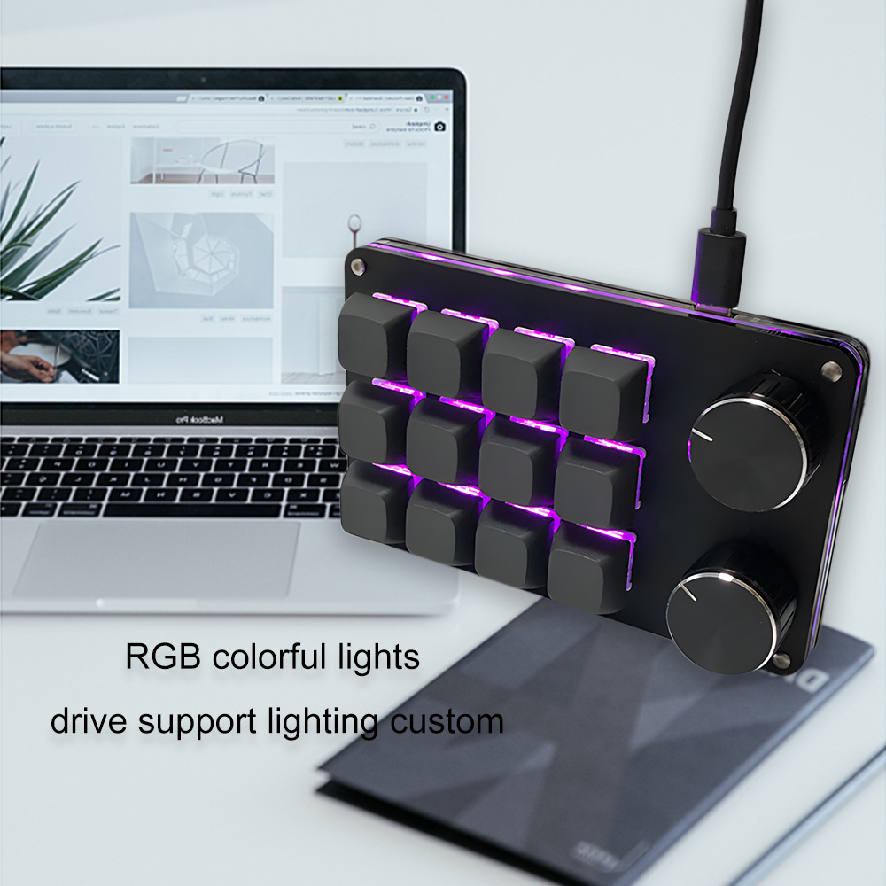 12 Keys Mini Mechanical Gaming Keyboard One Handed Keypad USB-C Wired Keypad Programmable and Swappable Keyboard for working