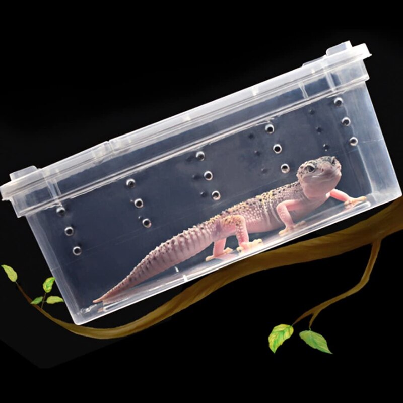 Breeding Box 8Pcs Worm Dish Reptile Feeding Box Food Container Small Size Transparent