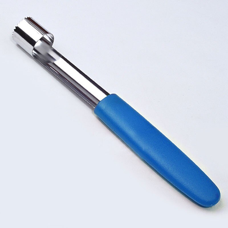 Fruit Kitchen Pear Apple Pitter Corer Remover Olive Core Corer Remove Pit Tool Seed Kitchen Gadget: Blue 