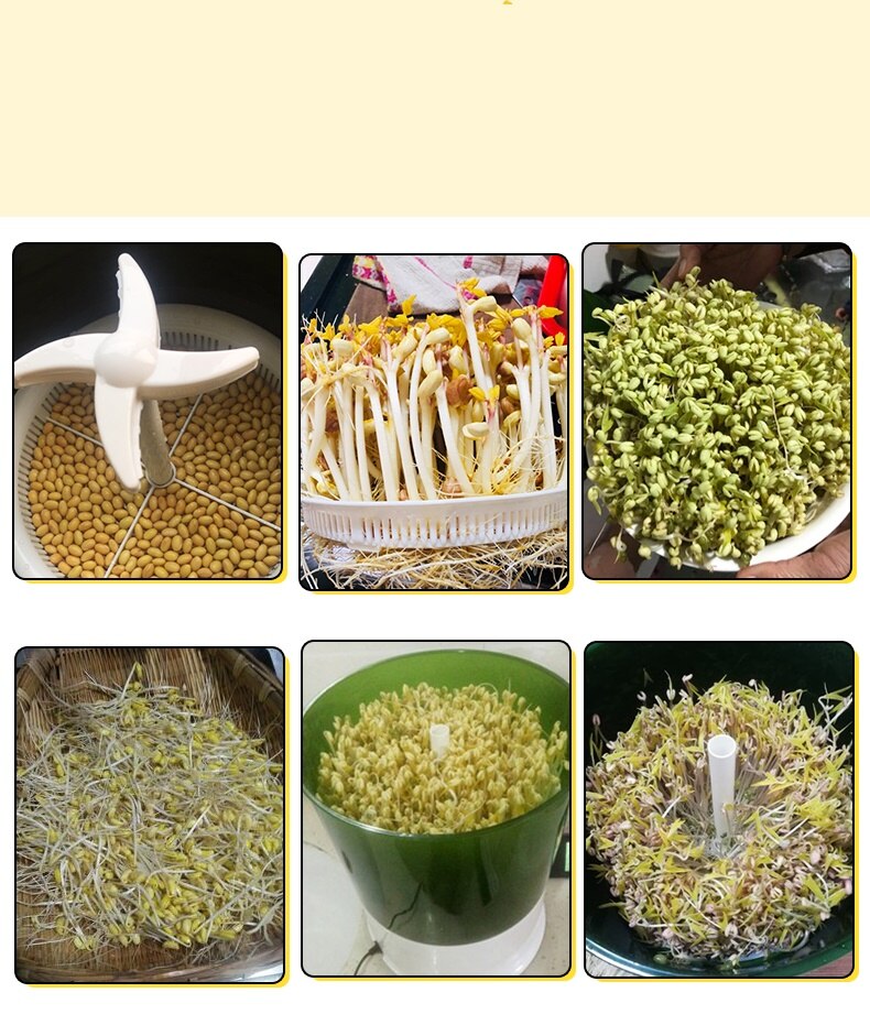 220V Electric Bean Sprouts Machine Large Capacity Thermostat Green Seeds Growing Automatic Bean Sprout Machine