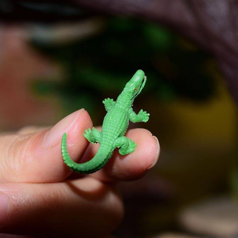 Miniatuur Oceanen Diermodel Schildpad Alligator Walvis Haai Dolfijn Pinguïn Clownfish Kikker Zee Wereld Mini Figurine Decor Speelgoed: alligator