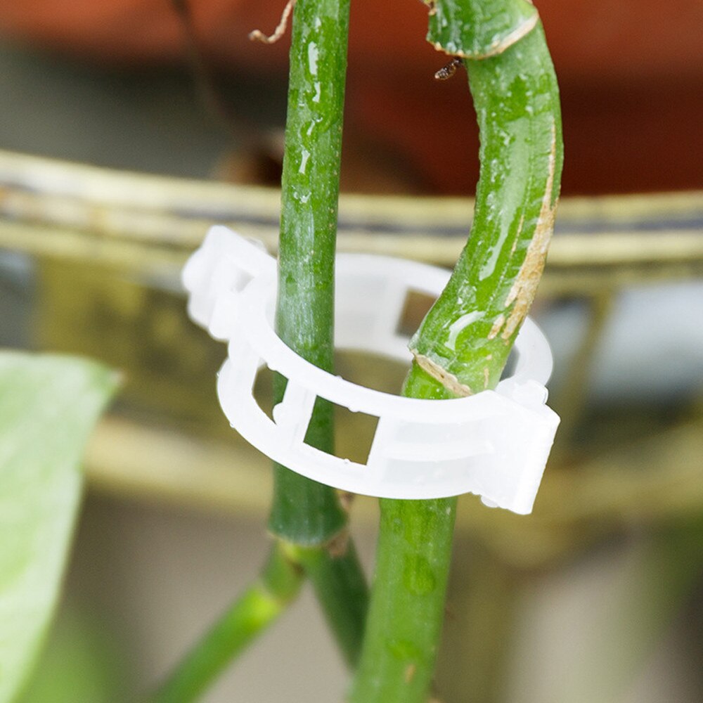 100pcs Reusable Plastic Plant Support Clips clamps For Plants Hanging Vine Garden Greenhouse Vegetables Tomatoes Clips