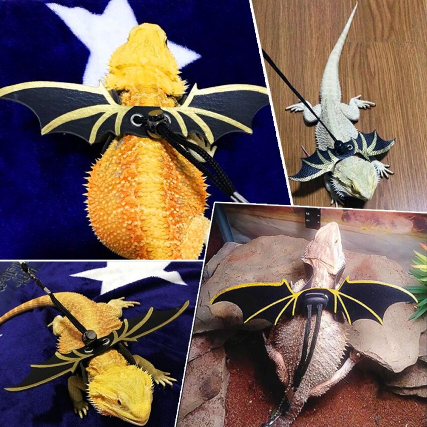 gad jaszczurka uprząż diabelskie skrzydła regulowane ciągnięcie liny liny trwałe małe zwierzęta smycze projekt jaszczurka akcesoria produkt