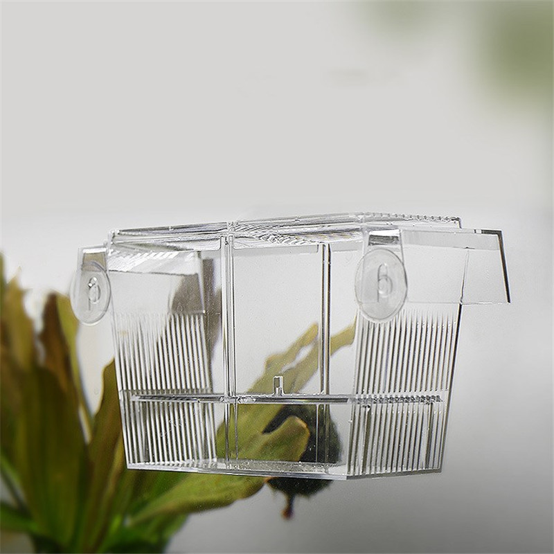 Aquarium Breeder Box Fish Tank Hatchery Incubator Acrylic Fish Isolation Box with Suction Cups for Small Baby Fishes Shrimp