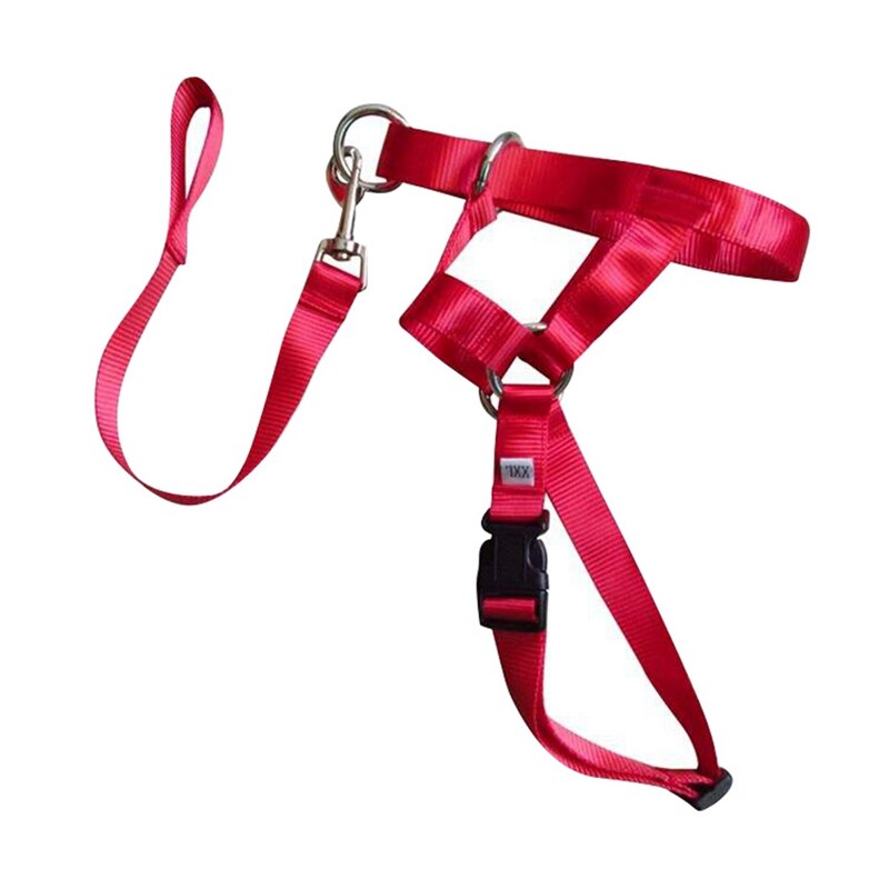 Dog Pet Dog Padded Head Collar Gentle Halter Leash Leader Stop Pulling Training Muzzles Tools