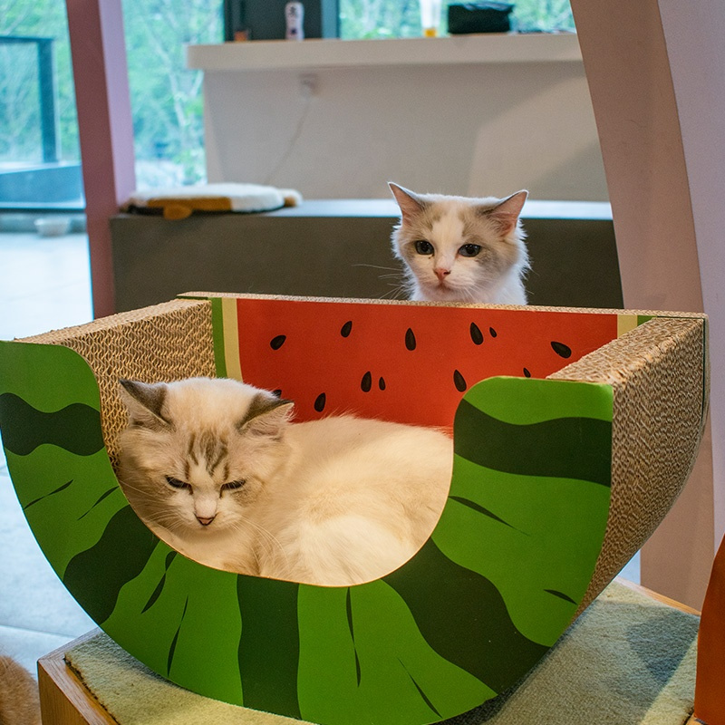 Cat Scratcher Board Mat Cat Scratch Pad for Sharpen Nails Scraper Kitten Pet Products Fruit Shape Style CW336