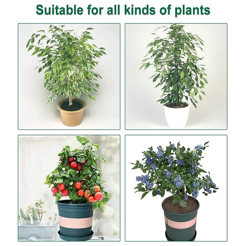 5 paquets de filets de Protection des plantes de jardin avec corde, housse de Protection des tomates sacs d'isolation des plantes de jardin pour légumes