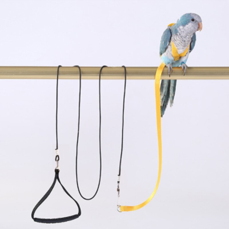 Colorful Parrot Bird Collar Harness Adjustable Parrots Bird Harness Training Traction Anti-Bite Outdoor Flying Harness Leash