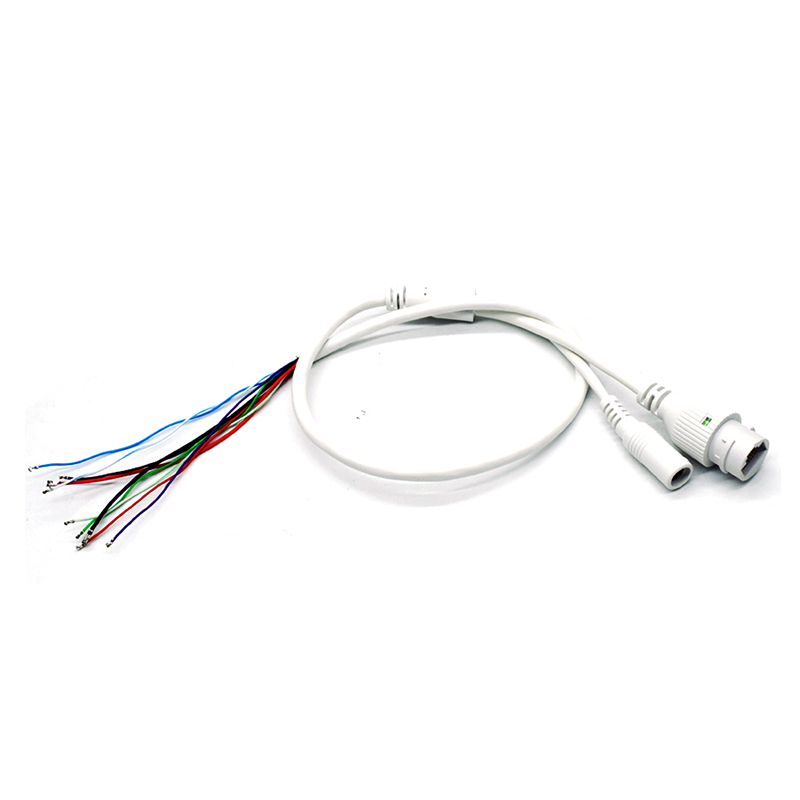 Caméra de carte de câble de queue de cochon de caméra IP de télévision en circuit fermé étendent le câble RJ45 + câble réseau cc Ethernet et Port d'alimentation pour le Module de caméra IP AR-W