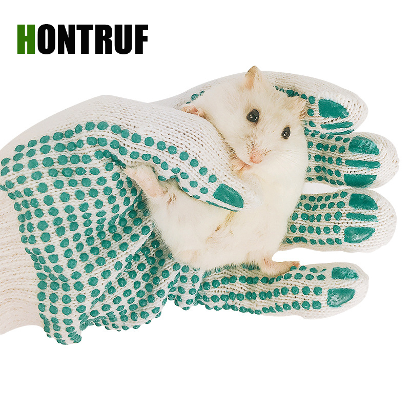 Kleine huisdieren heterotherme mesocricetus auratus fantasie muis eekhoorn cavia porcellus hamster anti-bijt handschoenen