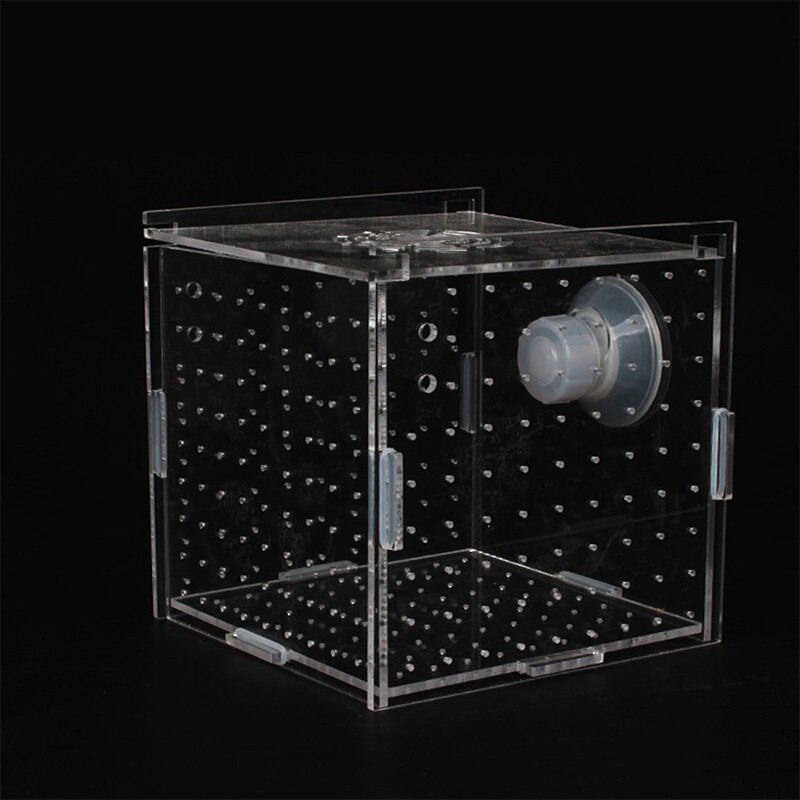 Incubadora de Pez transparente para acuario, caja de cría de peces pequeños, de doble capa, Red de Aislamiento multicapa acrílica