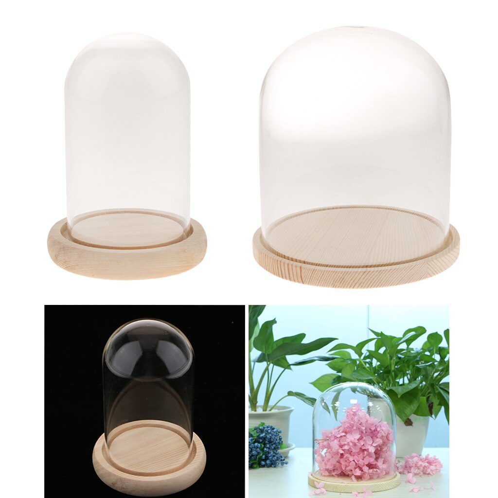 Domo de cristal de madera con Base de madera, cubierta de cristal, Uds.