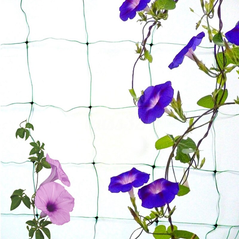 -have grøn nylon espalier net støtte klatreplante net vokse hegn