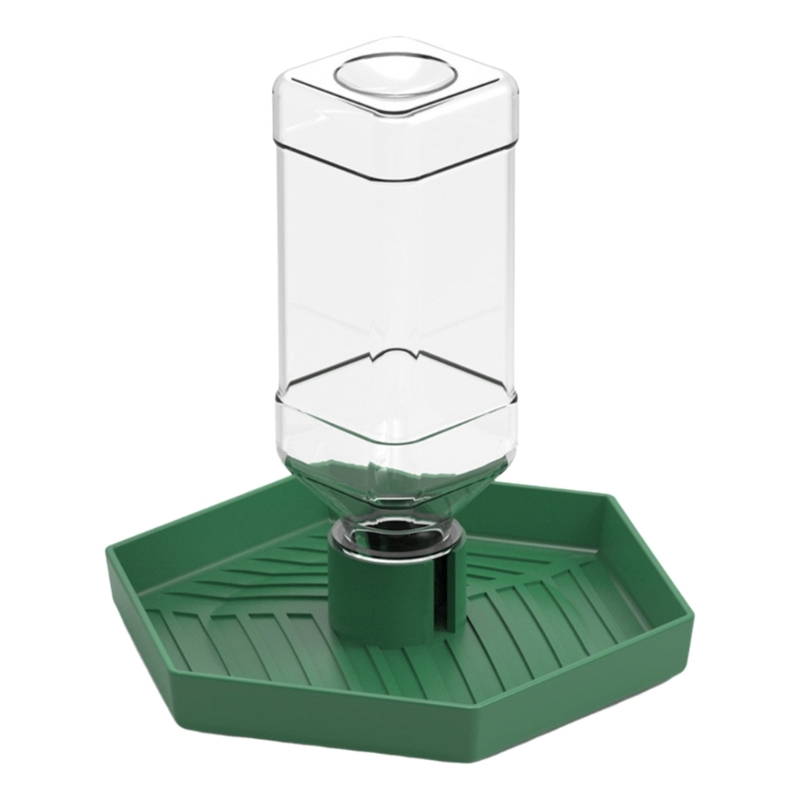 Bebedero automático para Reptiles, bebedero, bebedero, alimentador agua para anfibios 87HA: L / Verde claro