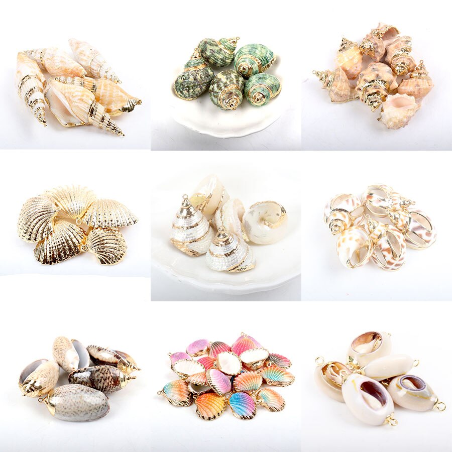 Vergulde natuurlijke schelp voor sieraden diy handgemaakte bedels hanger schelpen huisdecoratie 5 stuks