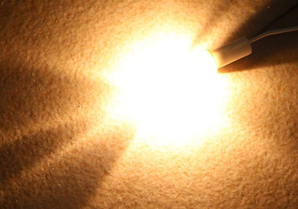 5-teilige 12V GY6.35 Halogenlampen 20W 35W 50W 100W G6.35 12V Halogenlampe 12V JC Typ Halogenlampe G6.35 GY6.35 Bi-Pin-Sockel