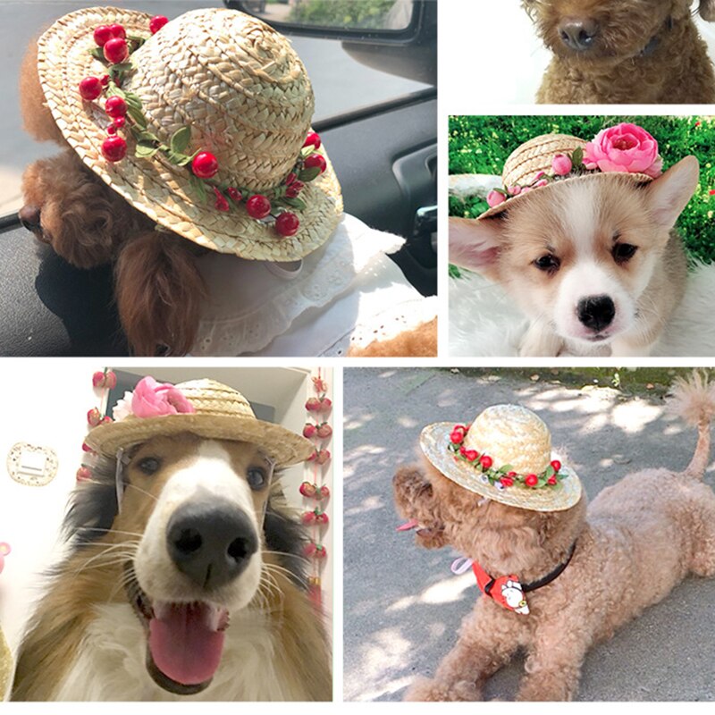 Chapeau d'été pour chien, petit et moyen gabarit, Style hawaïen, chat drôle, décoration en bambou libellule, paille tressée, fournitures pour animaux de compagnie