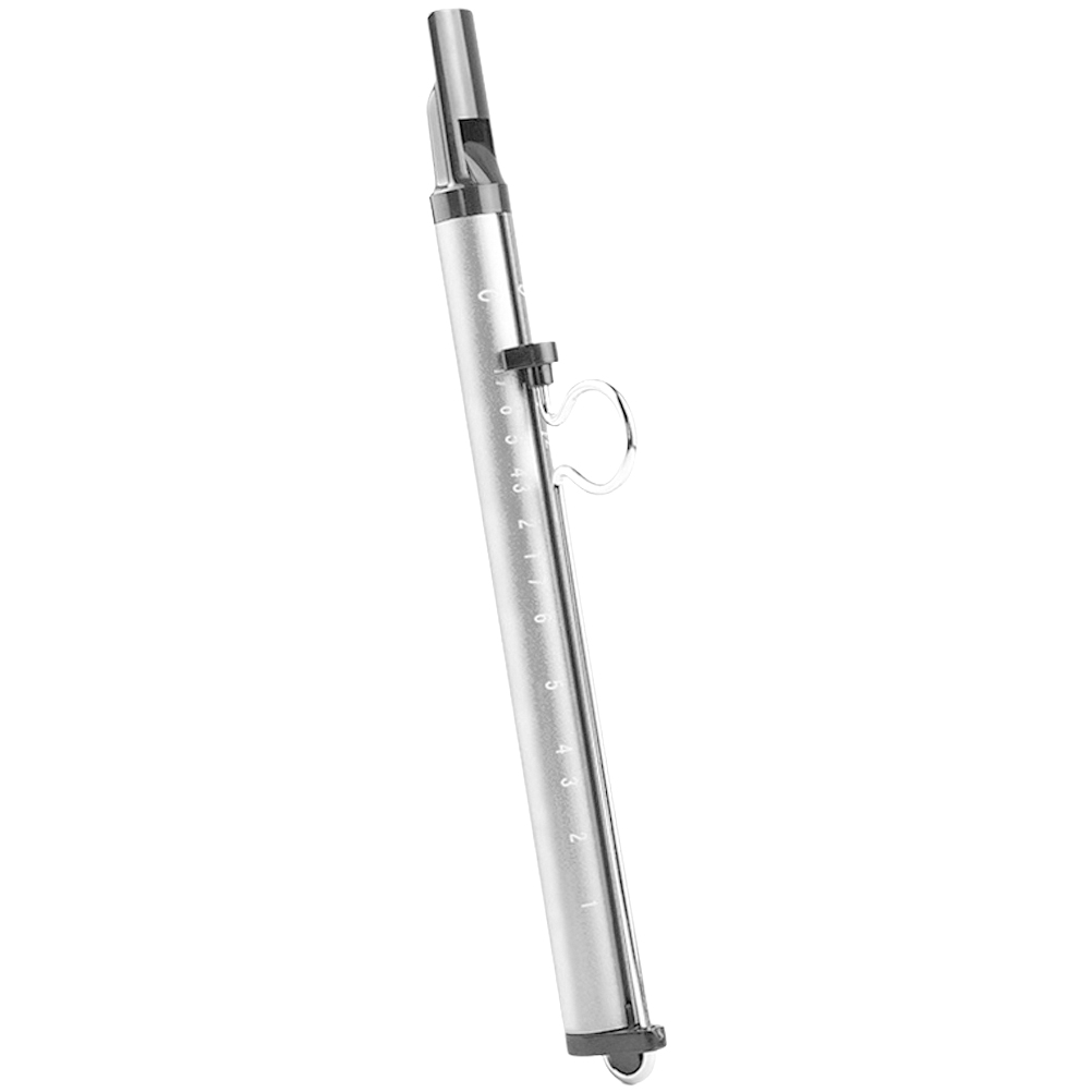 Musikinstrument Rutsche Pfeife Spielzeug Blasflöte freundlicher Klassisches Musikspielzeug für freundlicher Lustiges Piccolo Flöte Rutsche: Silber