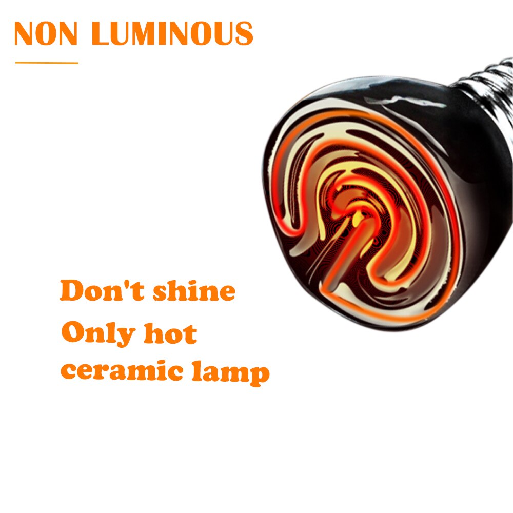 Mini keramisk varmelampe 220v 25w/50w /75w /100w e27 infrarøde krypdyrskilpadde varme pærer vanntette temperaturkontroller