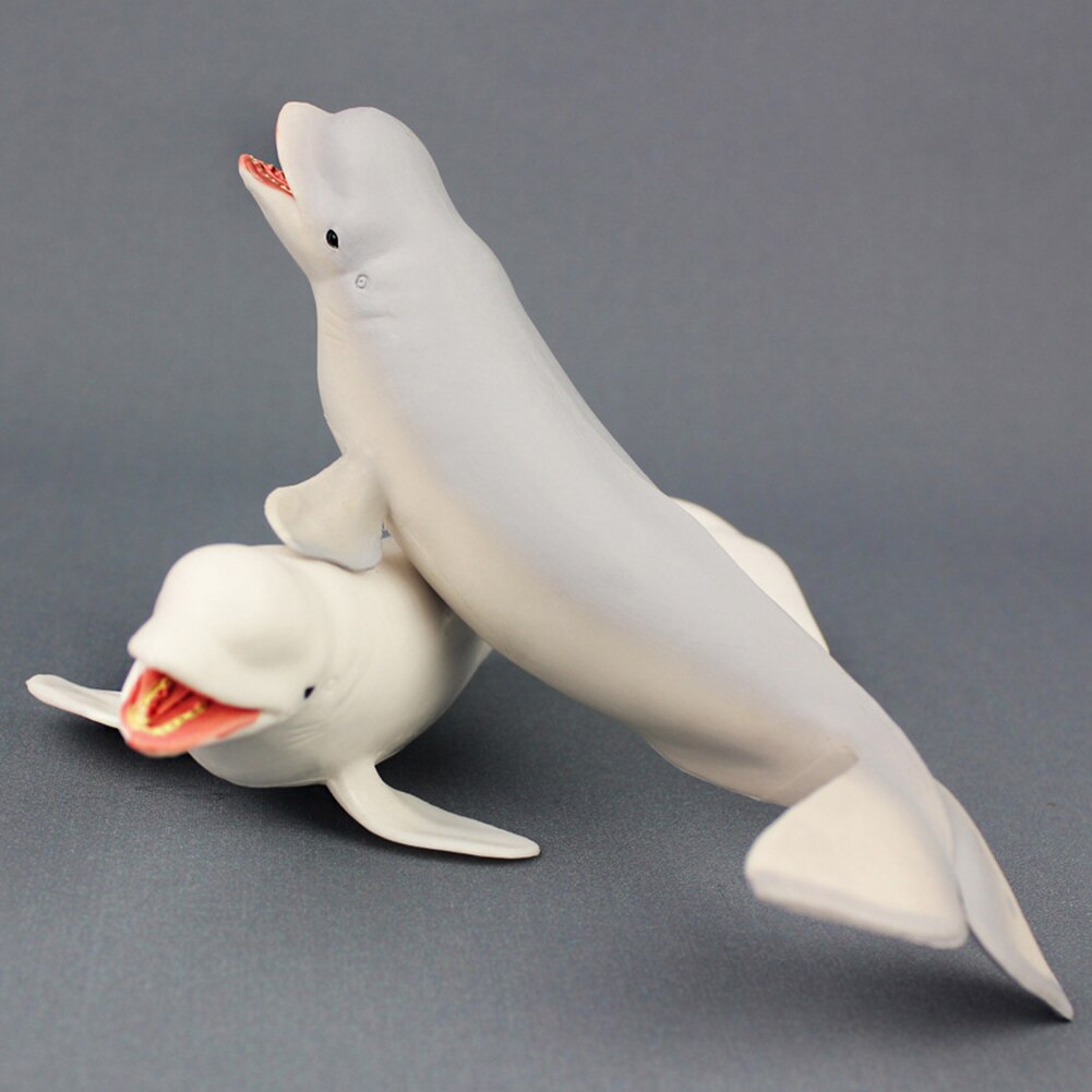 Leuke Beluga Witte Walvis Model Zee Leven Dieren Lifeliketoys Collecties Slaapkamer Decor Kinderen Kids Eduacational