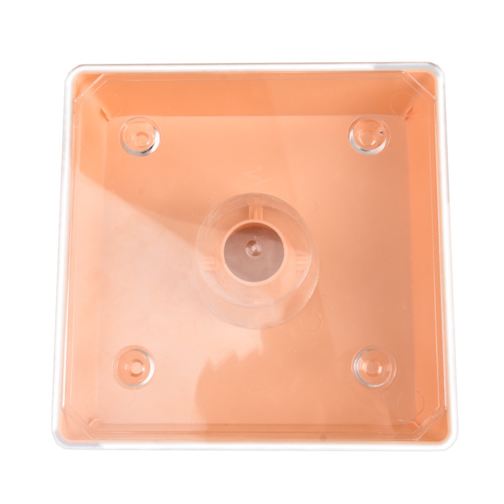 Alimentador de entrada, colmena de plástico, agujero pequeño, portátil, para agua potable, duradero, jardín, granja, Herramientas de apicultura superior cuadrada, fácil de instalar