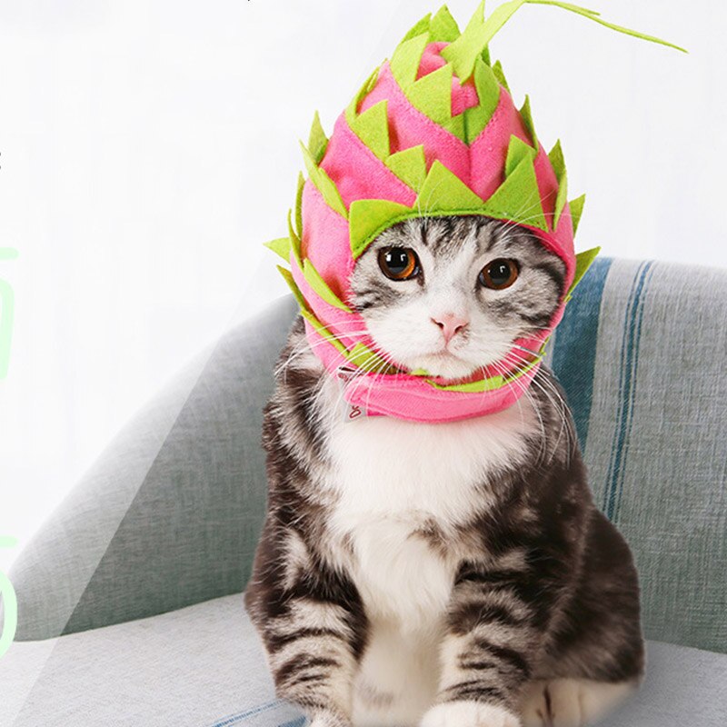 Kerst Huisdier Kostuum Hond Pruik Grappige Hond Kat Cosplay Pruik Kleine Hond Hoofddeksels Haar Accessoires Voor Xmas Huisdier Cosplay Party Decor Bruin Qi Pony