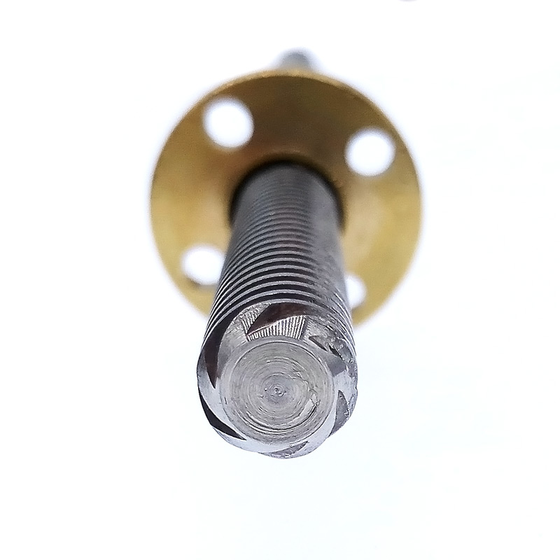 Blei Schraube T8 550mm Linearführung 3D Drucker Teile spiralförmig Tonhöhe 1mm 2mm 4mm 8mm 10mm 12mm 14mm Trapez Schrauben mit murmeln