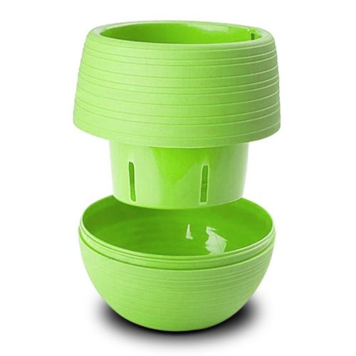 Mini Vaso Rotondo in Plastica - 6 Colori - Piccolo Fioriera per Casa Ufficio Arredo