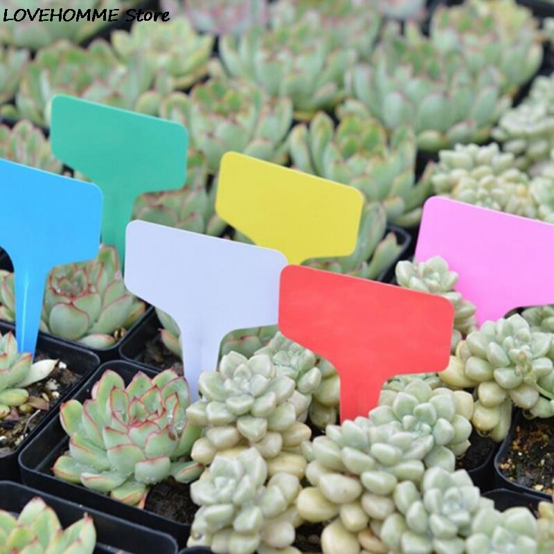 Etiquetas de plantas tipo T para guardería, de plástico, marcadores, herramienta, 100 Uds.