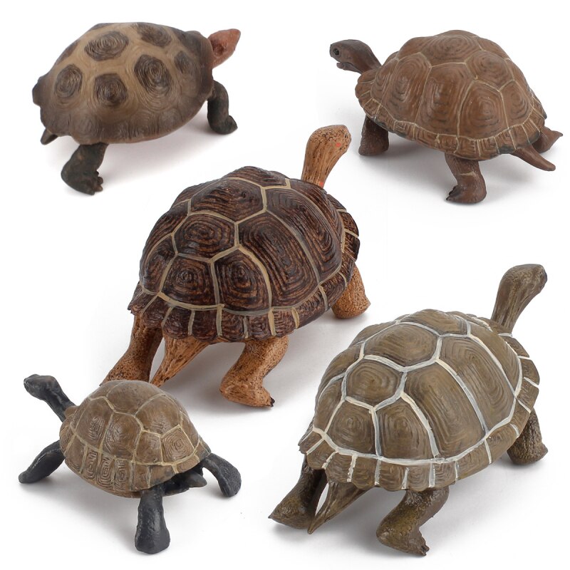 Life Simulation Animal Model Sets Sea Turtle Simulation Model Children Cognitive Cobra Toy Accessories Action Figures Teaching M