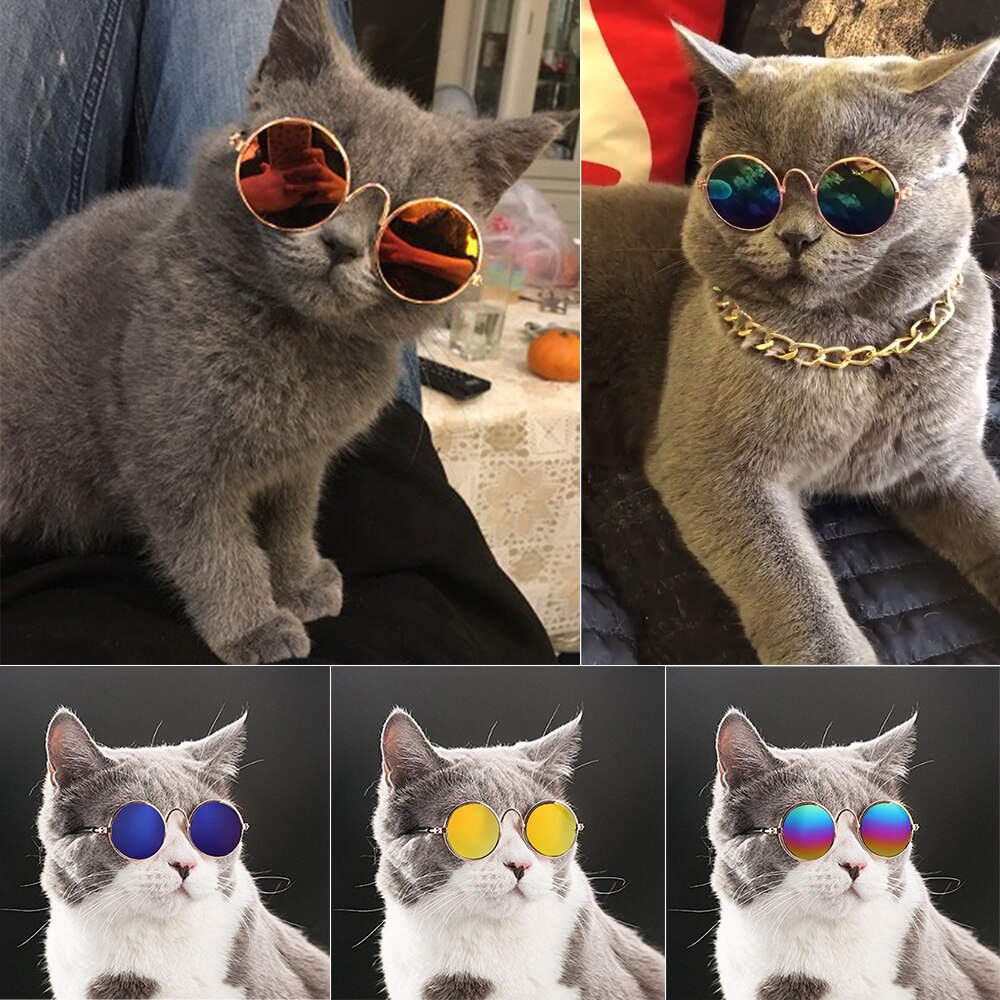 1 Uds perro Gato gafas para perrito ojo de gato ropa de perro gafas de sol Ojo de protección decoraciones para mascotas herramienta suministros para mascotas