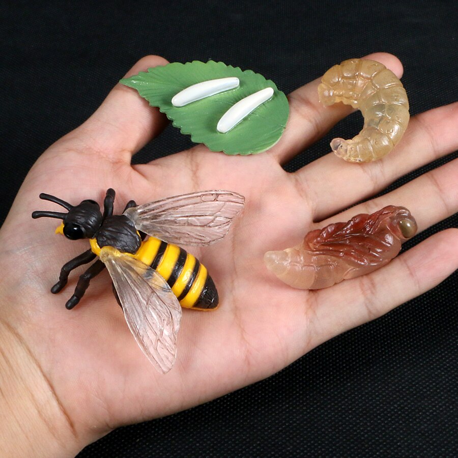 Butterfly Growth Cycle Bee Ladybug Spider Life Cycle Models Simulation Animal Model Action Figures Teaching Material For Kid: Bee 4pcs set