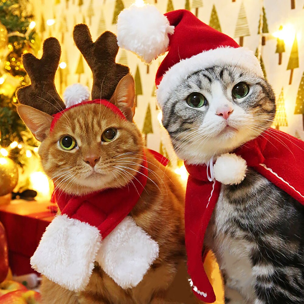 Cape de noël pour chats | Rouge, Costume de noël pour chiens, accessoires de chat, petite cape pour chatons, Halloween chien, Costume d'animaux domestiques, fournitures S M L