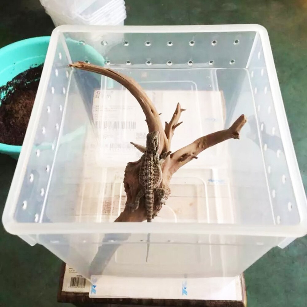 Reptile Box Climbing Pet Feeding Container Special Transparent Breeding Box for Spider Lizard Tree: Default Title