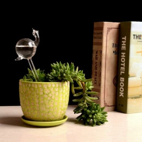 Funktion glas plante blomster vandføder selvvandende fugl plantevander 6 typer: Snegl