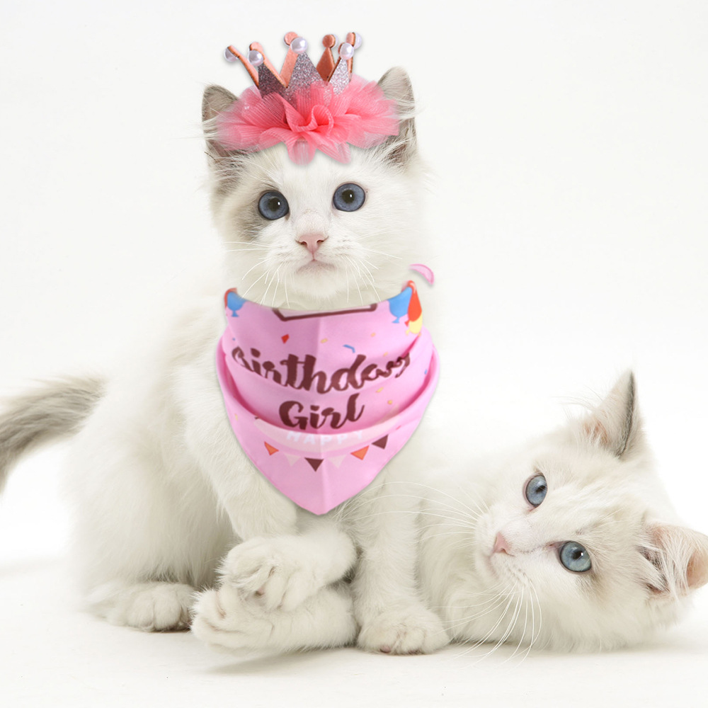 Conjunto de vestido de cumpleaños para gato, corona de perlas, Combo de sombrero y bufanda triangular, suministros para mascotas, decoraciones para gatos, tocado de gato
