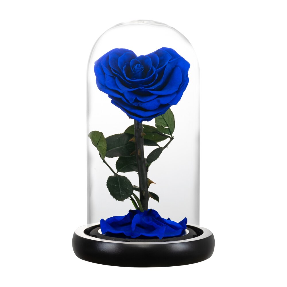 AINYROSE Heart Shaped Preserved Rose Beauty and The Beast Eternal Rose Wedding Artificial Flowers Valentine Christmas: Blue Rose Dome