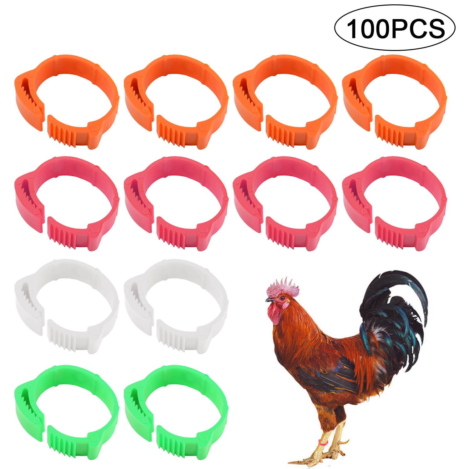 Behogar 100PCS Adjustable Digital Label Poultry Chicken Foot Label Buckle Rings for Chicken Duck Pigeon Poultry Farm Supplies