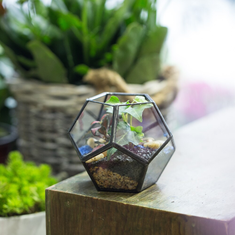 Garten Mini Terrarium Pflanzer Glas Geometrische Blumentopf Handgemachte Künstlerische Kleine Sukkulenten Farn Moos Pflanze Terrarium Dekoration