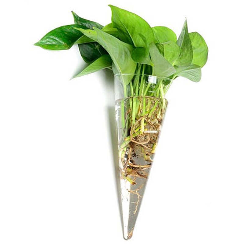 CSS Cone Hanging Glass Flower Planter Vase Terrarium Container Home Garden Decor
