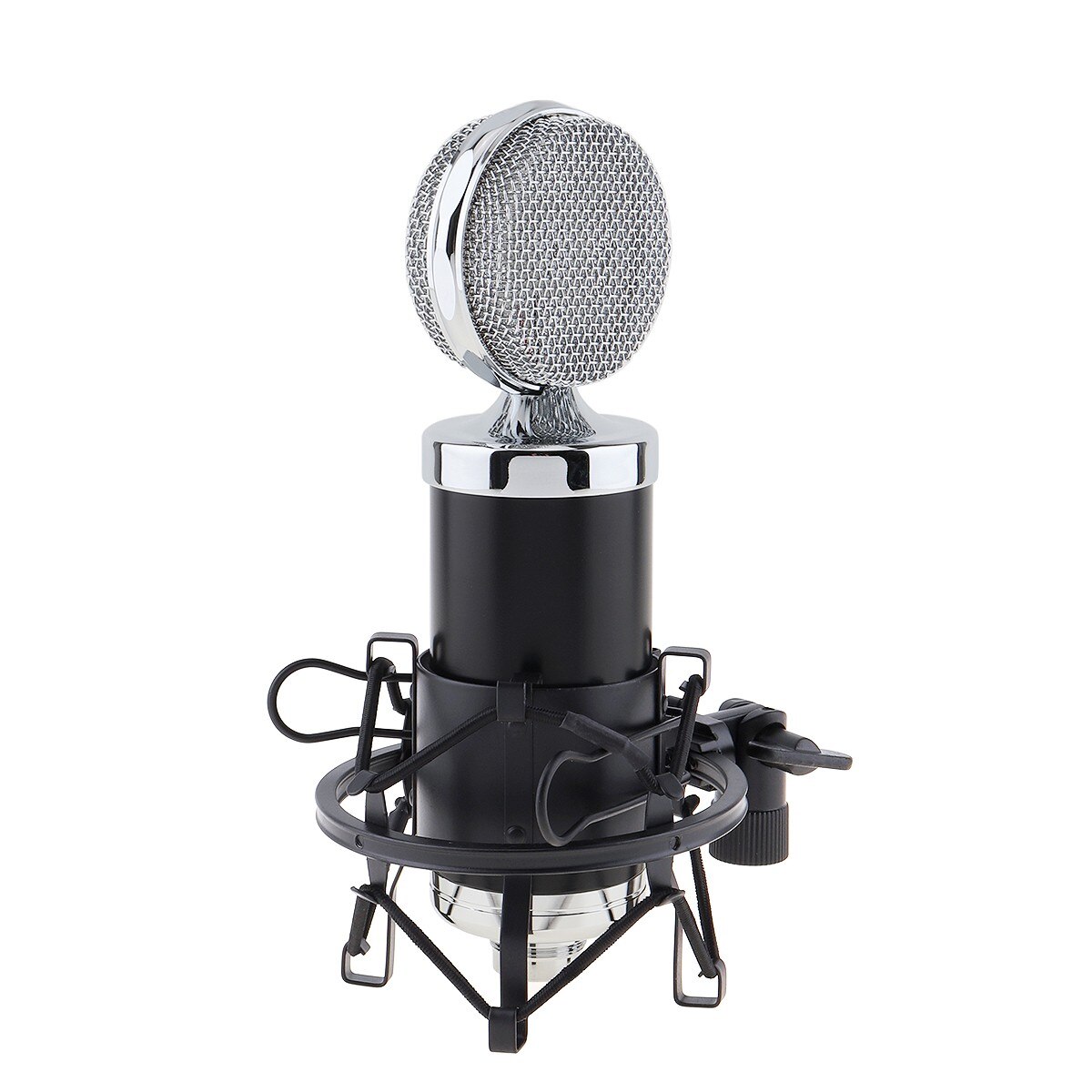 Special BM 5000 Condenser Microphone with Circuit Control and Gold-plated Large Diaphragm Head for Studio / KTV