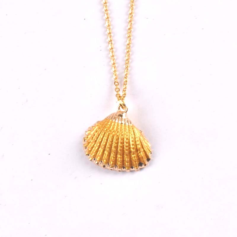 1pcs Conch Seashell shell charm necklace for Women Jewelry Summer Beach Shell Necklace Women cp2687: 11