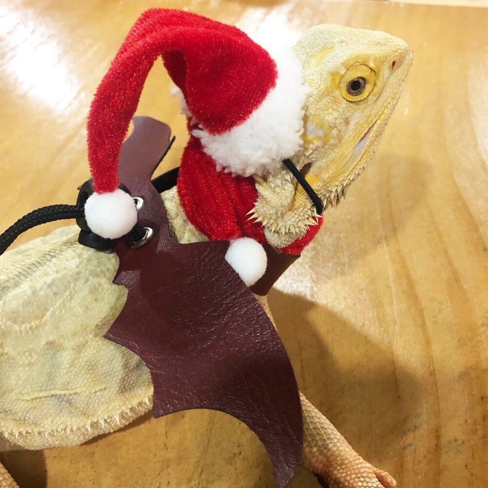 Einstellbar Eidechse Leine Mit Sacrf Hütte Kostüm Cosplay Reptil Leine Mit FlüGel Für Weihnachten Halloween Festival: 3Stck tractionrope