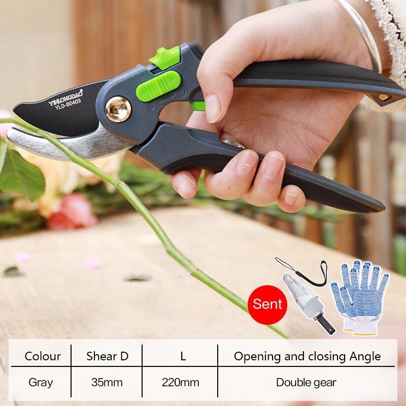 DTBD Plant Trim Horticulture Hand Pruner Cut Secateur Shrub Gardening Scissor Tool Anvil Branch Shear Orchard Pruning Shears: Silver
